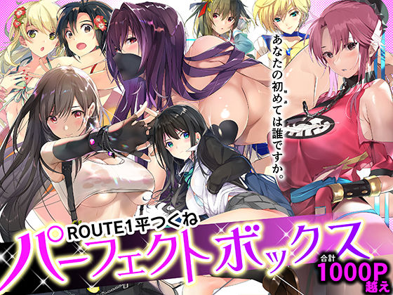 ROUTE1 平つくね パーフェクトボックス エロ